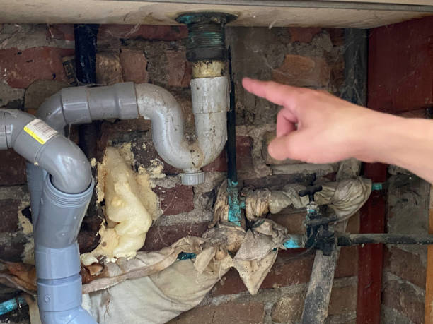 Best Carpet water damage restoration  in Dewitt, AR