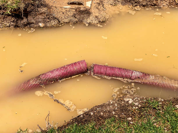 Trusted Dewitt, AR Water damage restoration Experts